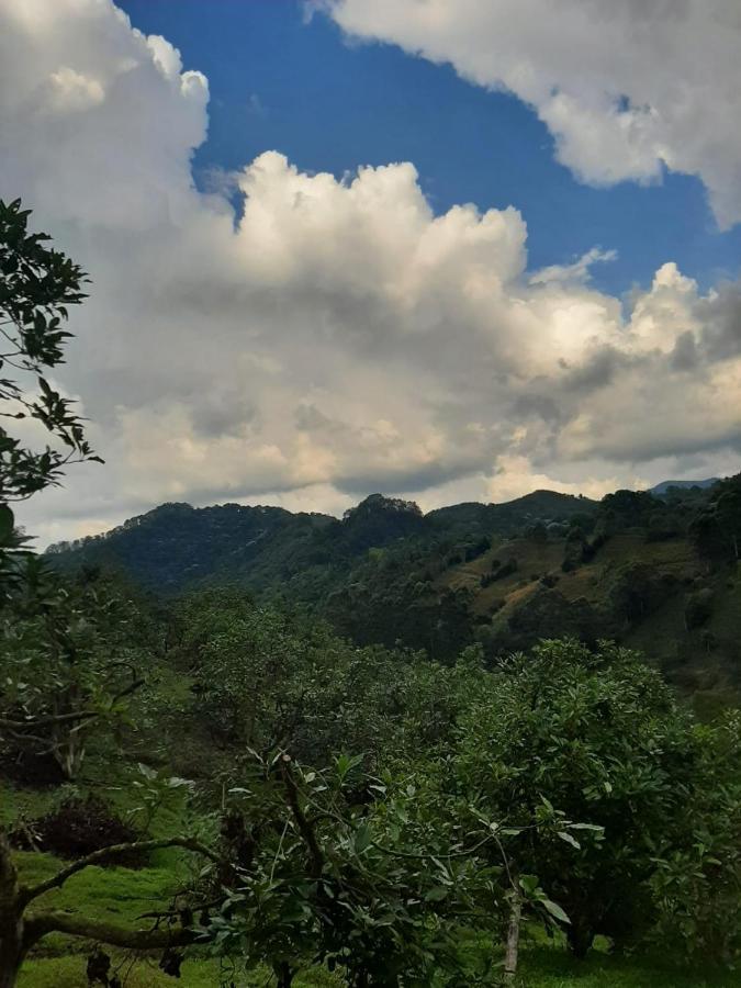 Alojamiento Rural San Francisco Salento Esterno foto