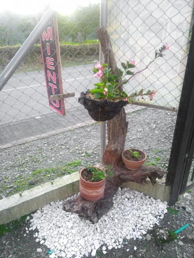 Alojamiento Rural San Francisco Salento Esterno foto
